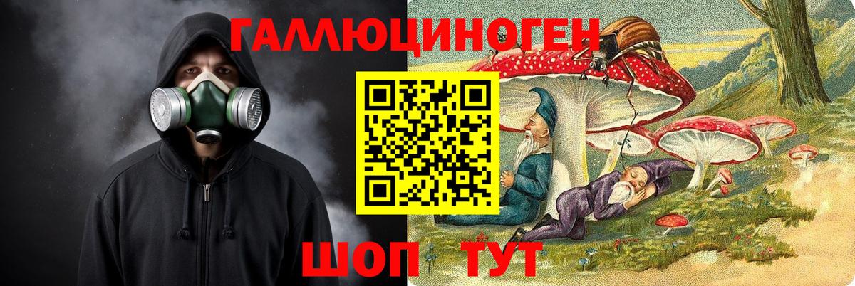 сколько стоит  Галлюциногенные грибы Magic Shrooms  Гусев  Вход с VPN  Галлюциногенные грибы прущие грибы 